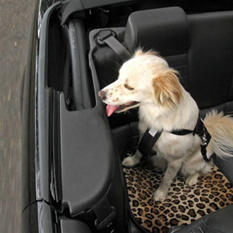 GGBailey - Pet Car Mat - Large 20 x 20