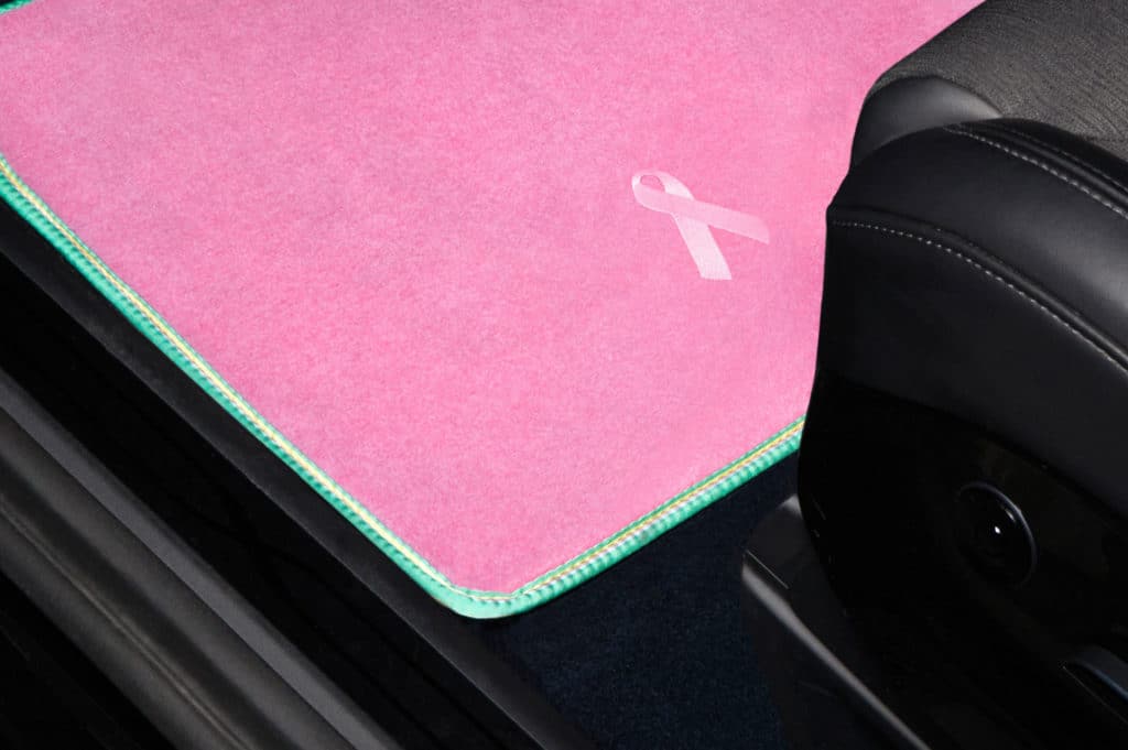 GGBailey - Pink Car Mat