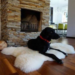 Sheepskin Rug Or Seat Coverings 100% Merino Wool