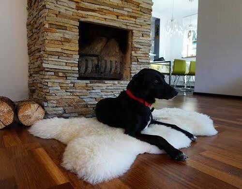 WhatsApp-Image-2020-06-07-at-07.28.43