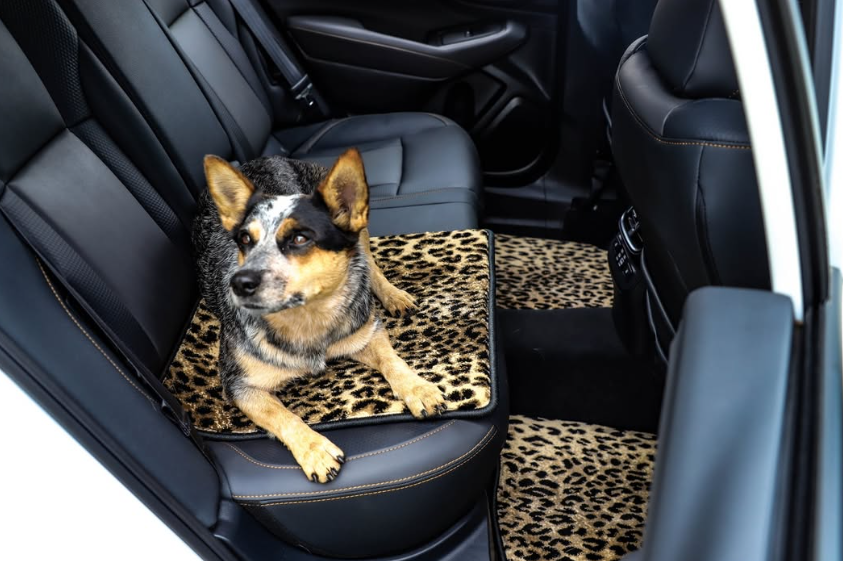 Pet Car Mat