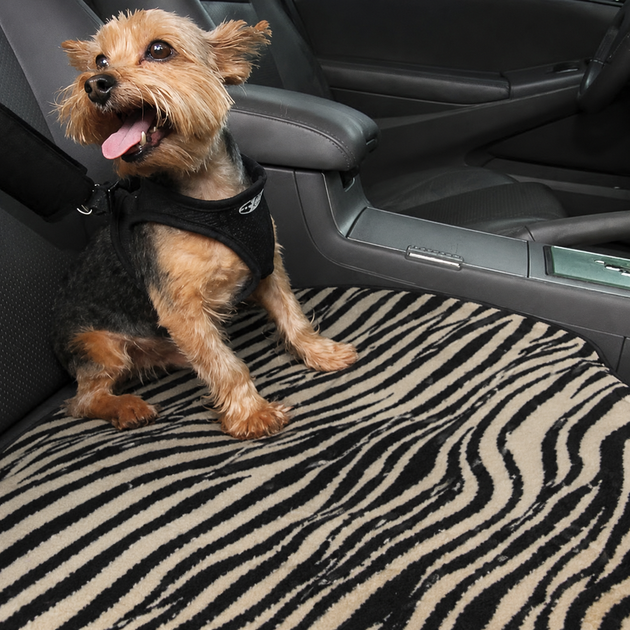 Pet Car Mat Medium- Bucket Seat (20″ x 17″) - Image 7